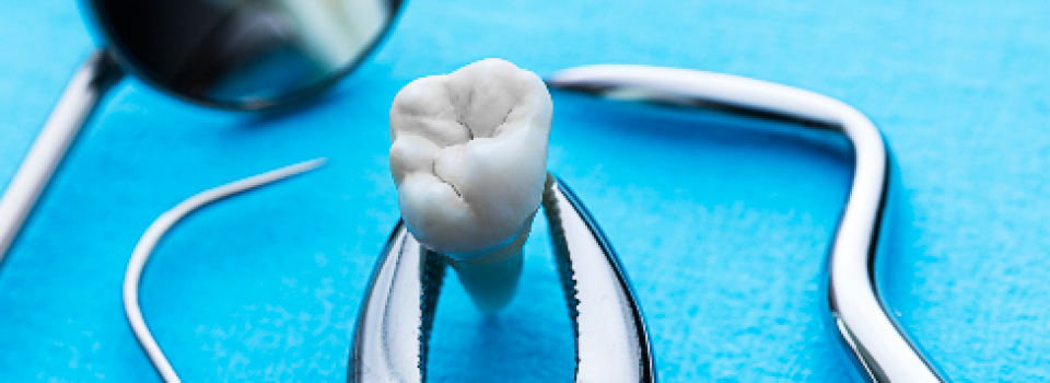 Is Tori Removal Covered By Insurance / Dental Residency Is Tori Removal Covered By Insurance / Dental Residency